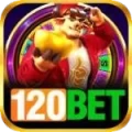 120bet Champion 2024